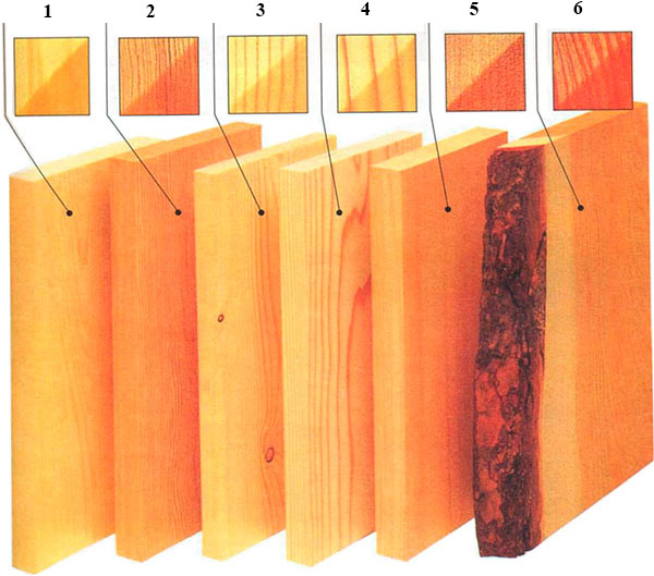 Структура породы хвойных деревьев