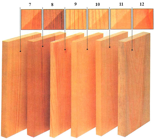 Структура породы и изменение цвета древесины