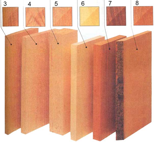 Структура породы древесины и изменение цвета