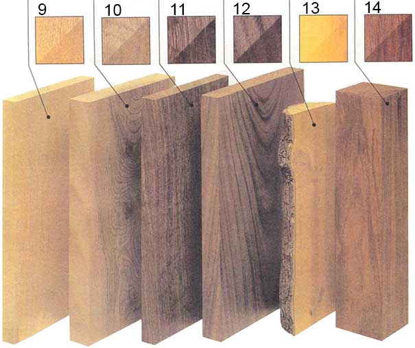 Породы древесины для мебели