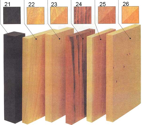 Примеры пород древесины
