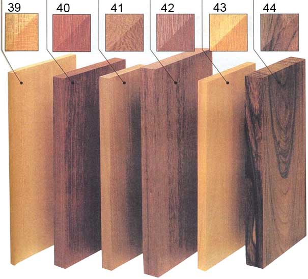 Редкие породы древесины для столярных работ