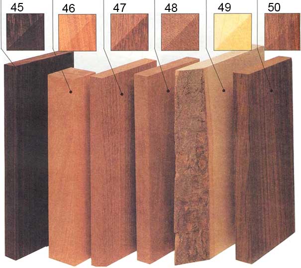 Породы древесины для мебели